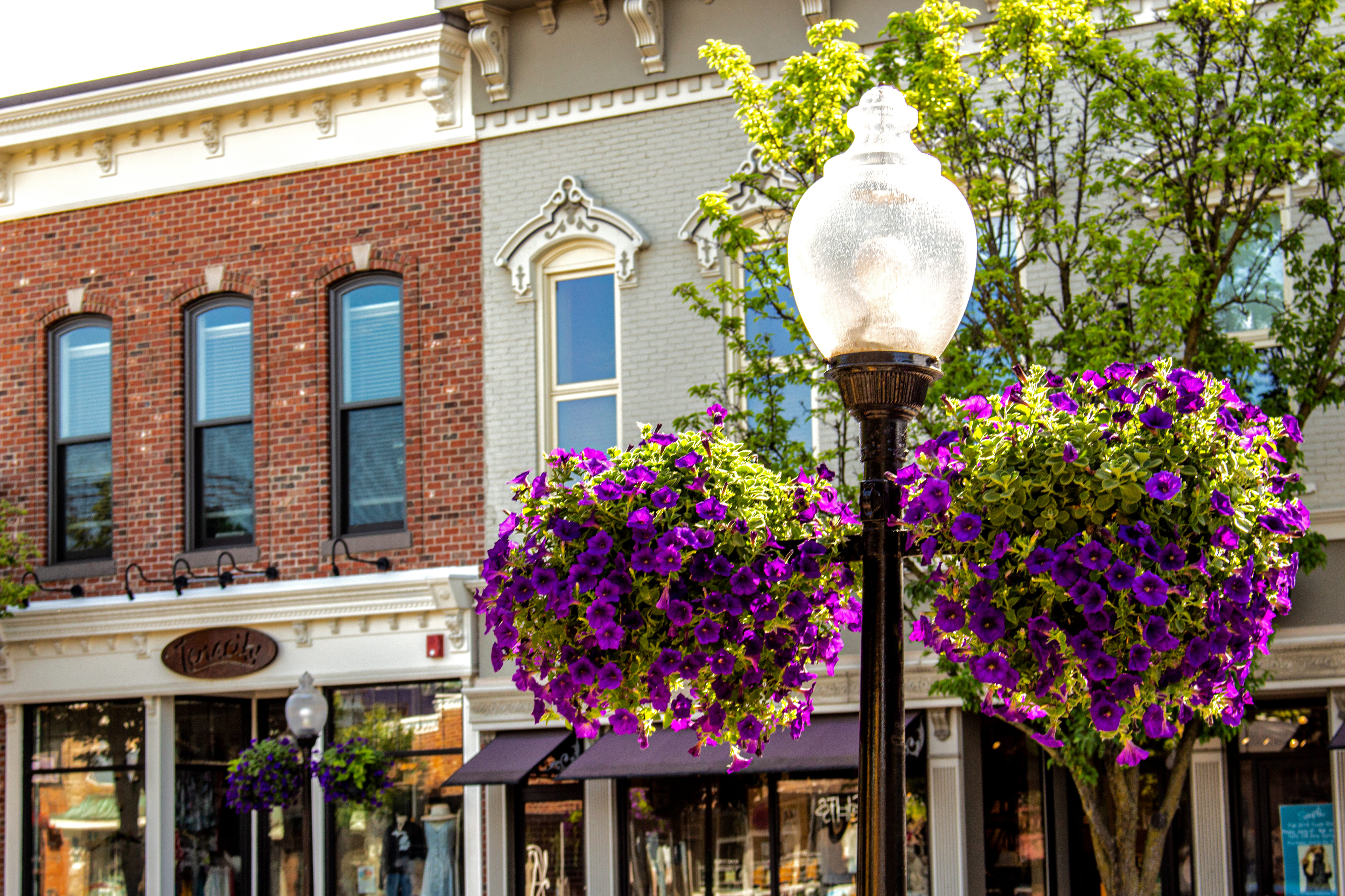 Floral hanging baskets on lamp post in historic district