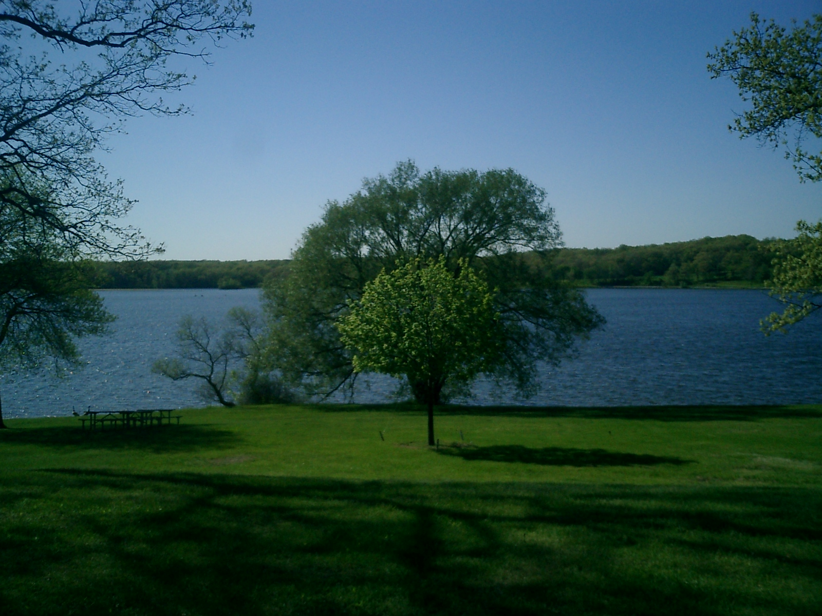 KensingtonMetroparktree