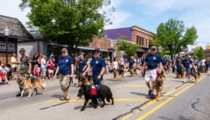 Dog parade in downtown street with spectators.