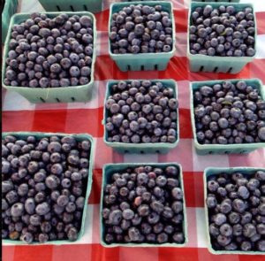 Fresh blueberries in baskets on checkered tablecloth.