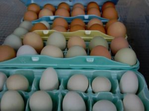 Cartons of fresh brown and white eggs.