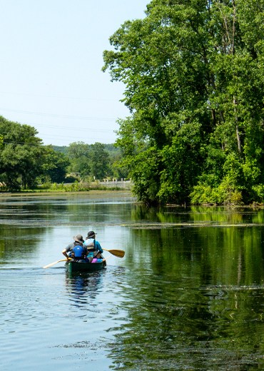 People canoeing on a calm river surrounded by trees.