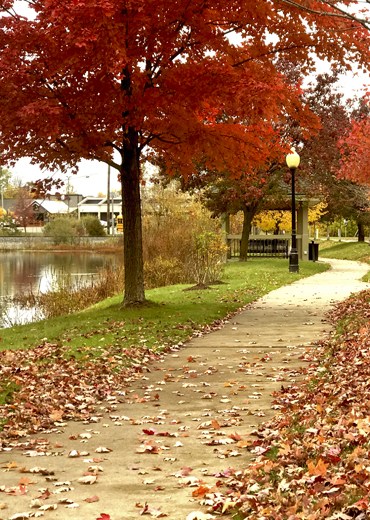 Autumn park path with red trees and fallen leaves.