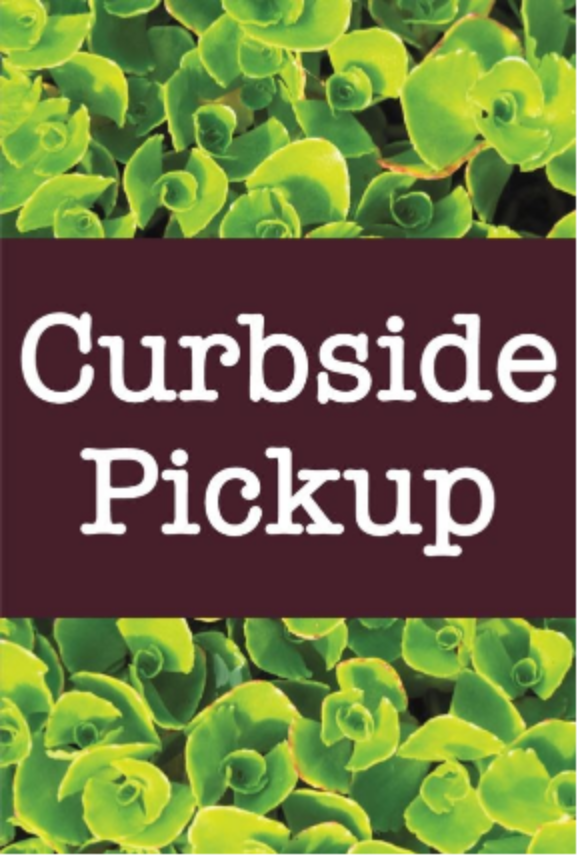 Curbside Pickup Lettuce