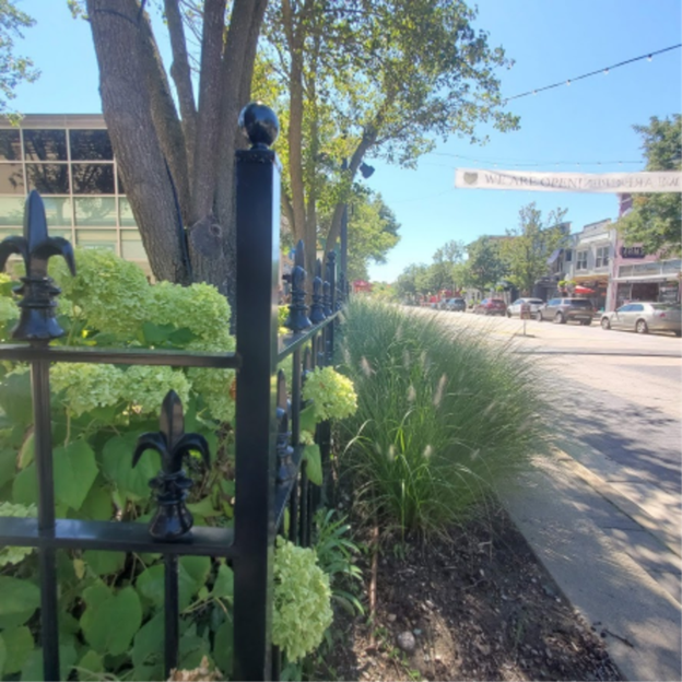 Wrought Iron Fencing Close Up