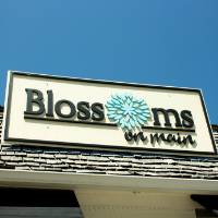 BlossomsonMain