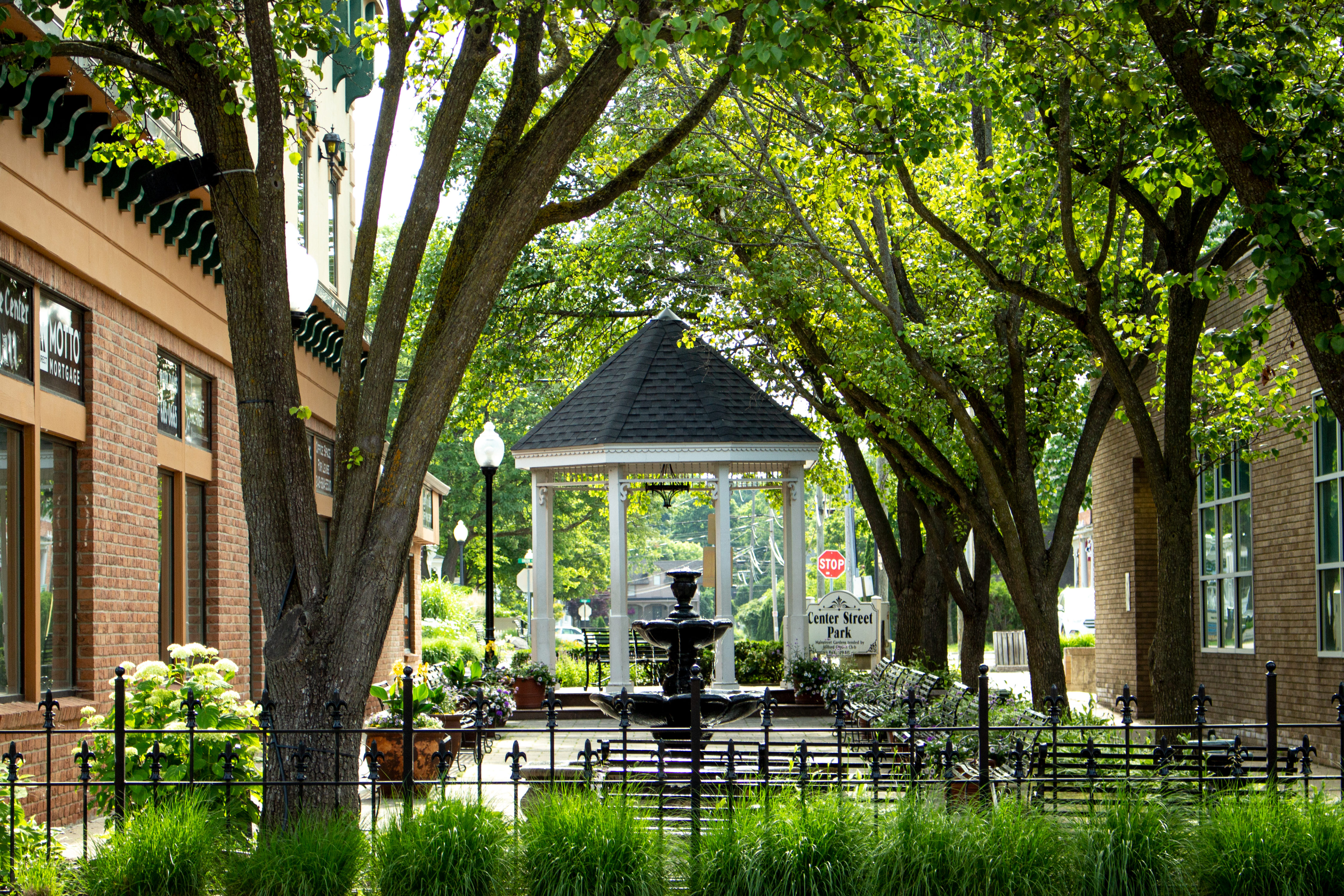 Lush park with gazebo and fountain near shops