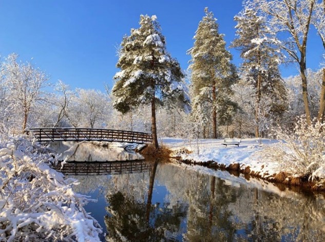 Winter landscape with snow-covered trees and footbridge.