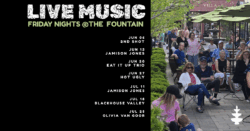 Crowd enjoying live music event outdoors near fountain